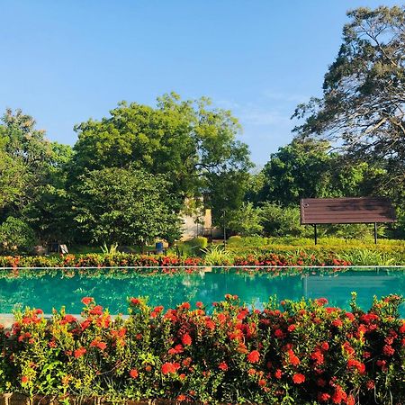 Lolu Village Resort Анурадхапура Екстериор снимка