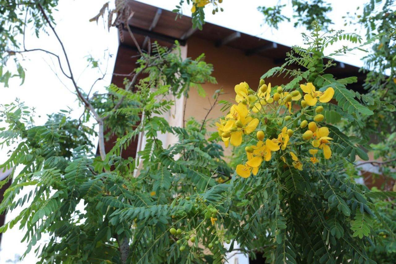 Lolu Village Resort Анурадхапура Екстериор снимка